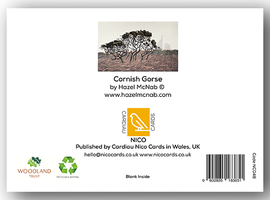 NC048 - Cornish Gorse - Hazel McNab