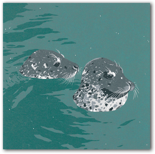 NC405 Two Seals - Megan Hall