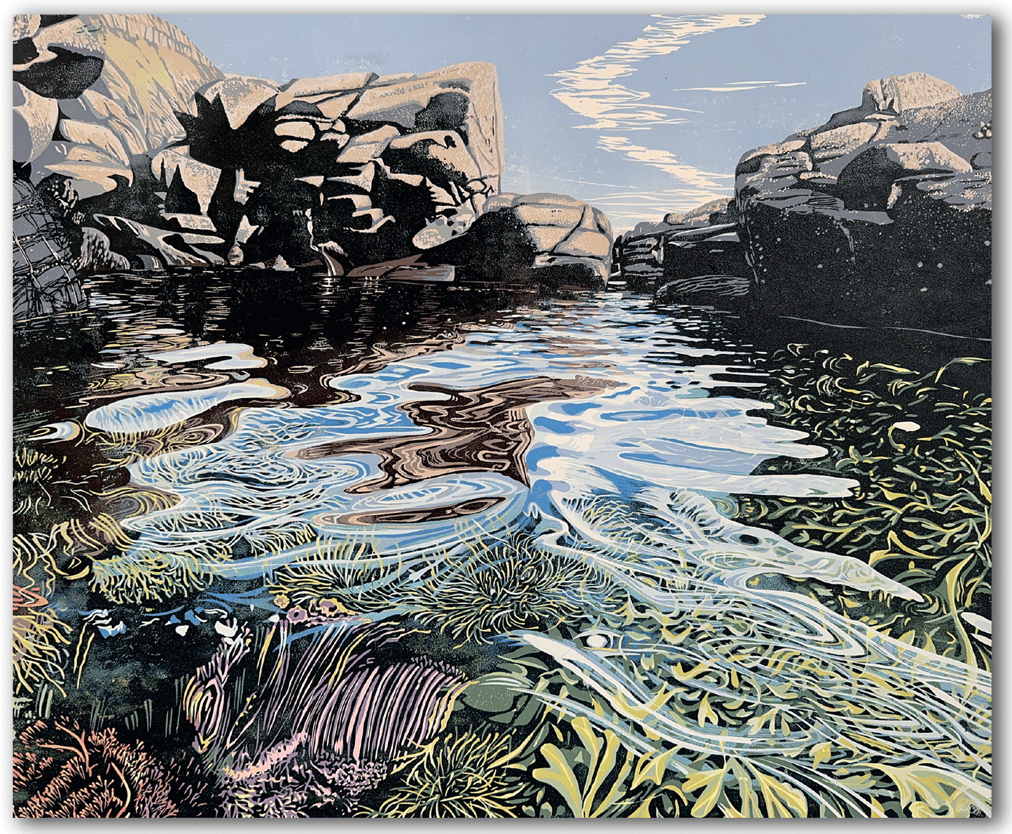 NC409 Rockpool - Hazel McNab