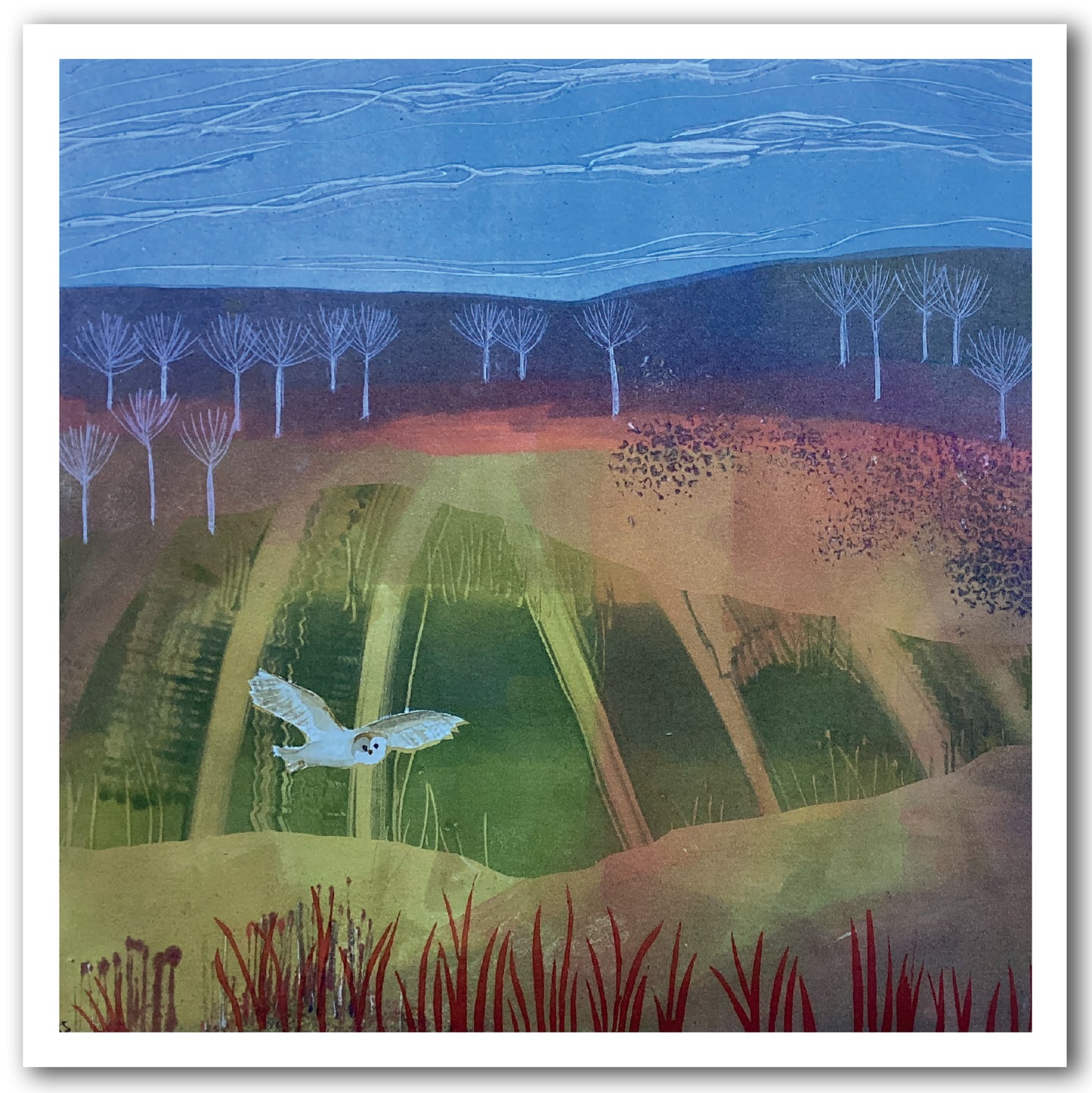 NC464 Beat of Velvet Wings - Jay Seabrook