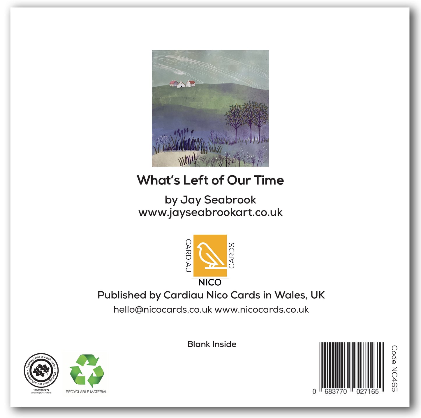 NC465 What's Left of our Time - Jay Seabrook