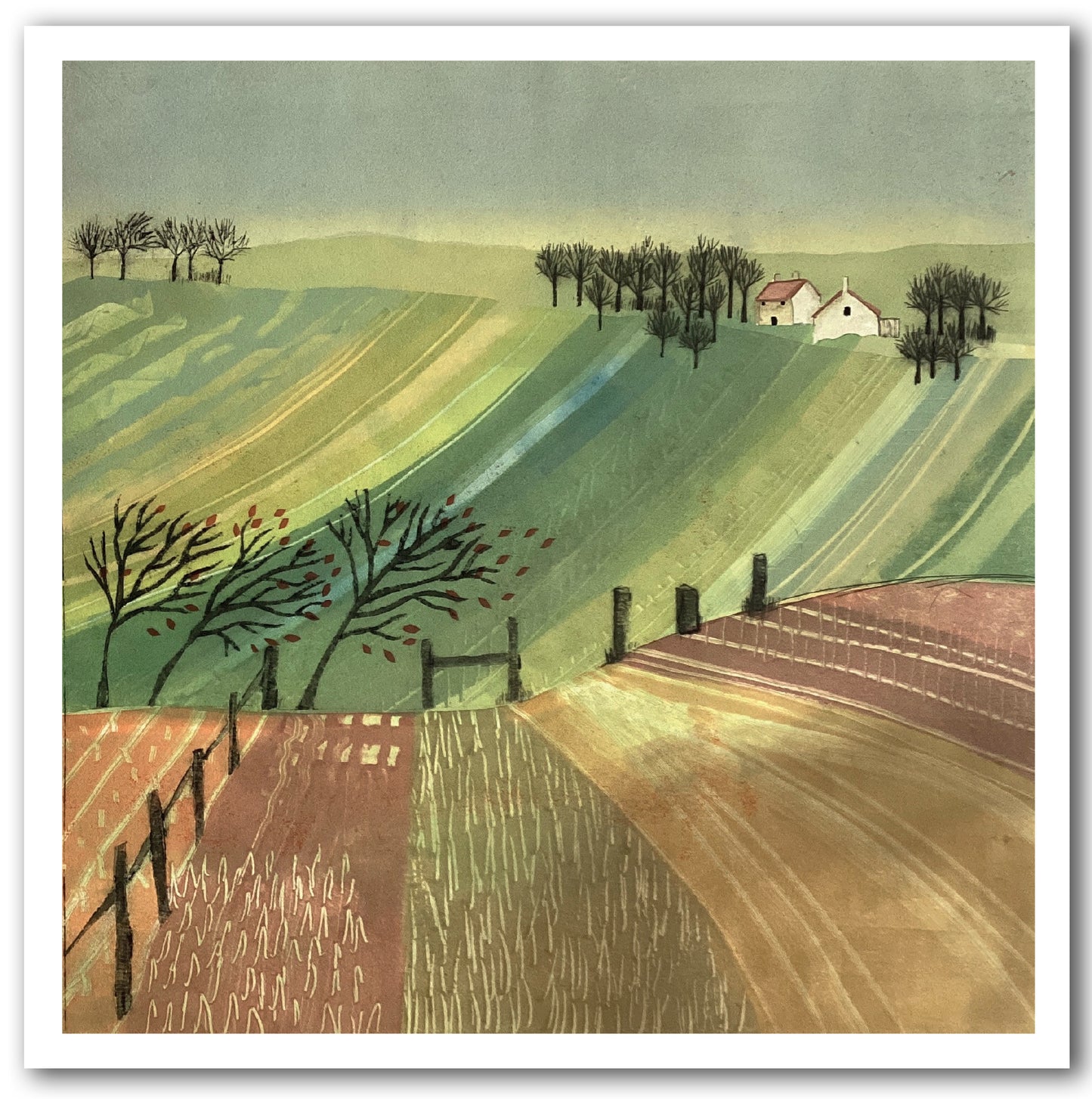 NC466 All the Leaves - Jay Seabrook