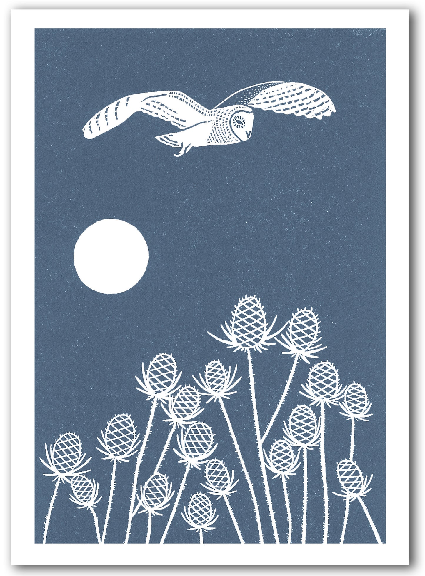 NC468 Owl & Teasels - Megan Hall