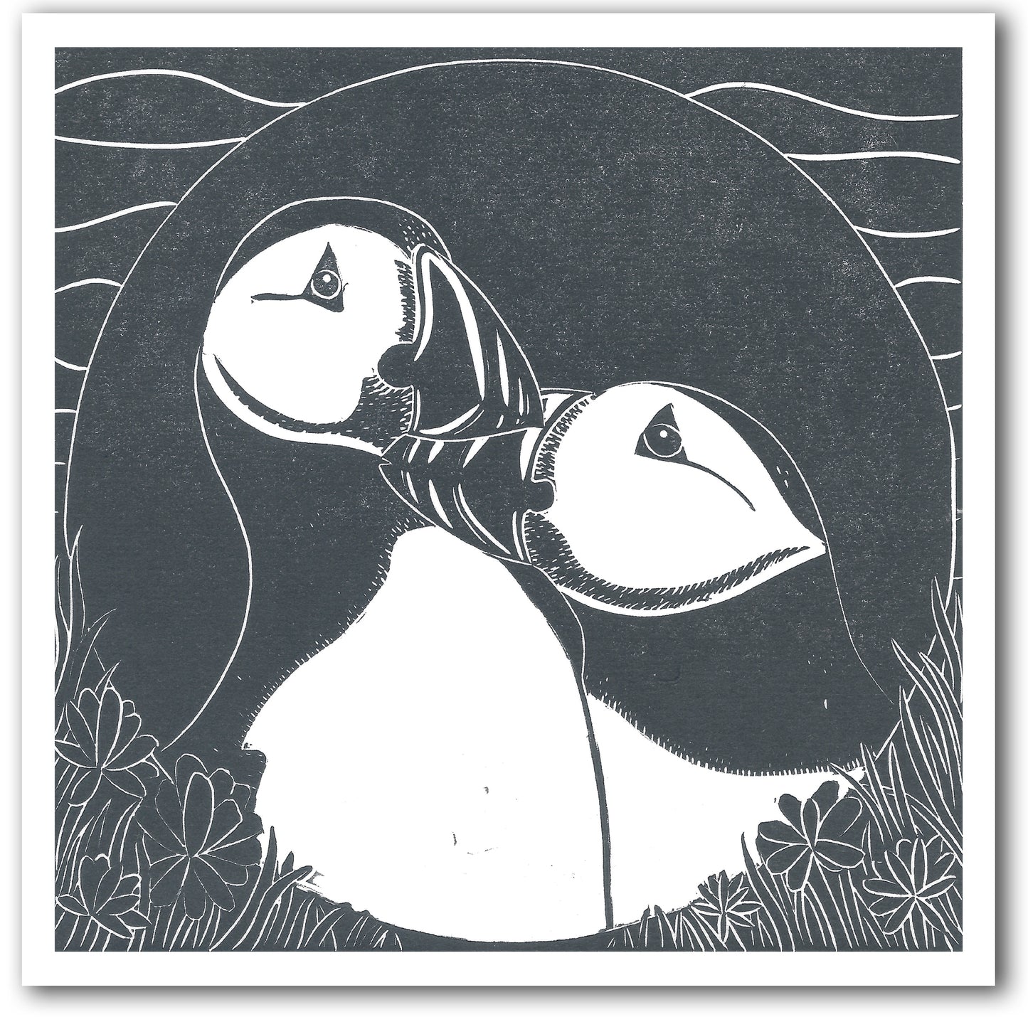 NC470 Puffins - Megan Hall