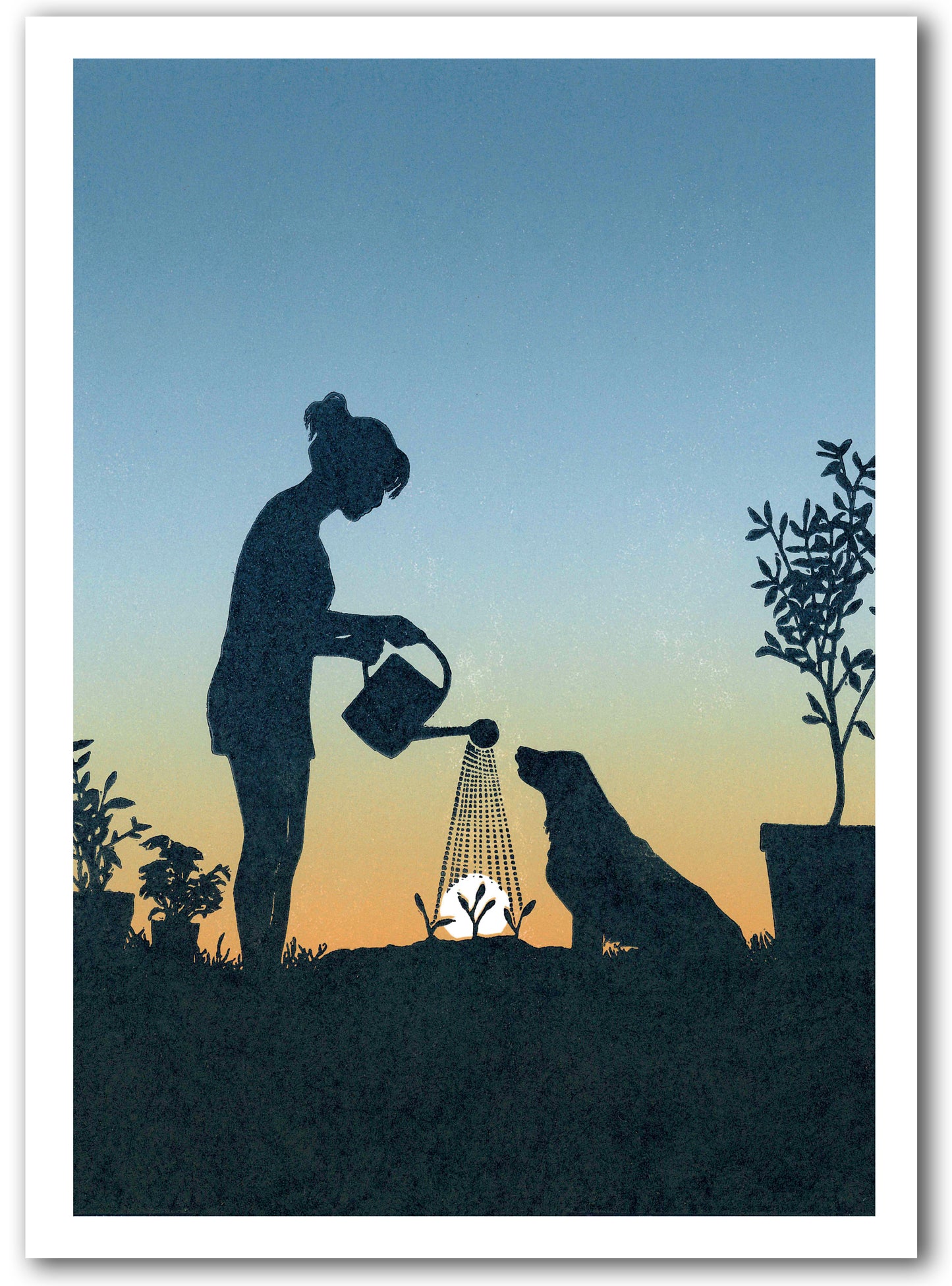 NC472 Watering the Seedlings - Megan Hall