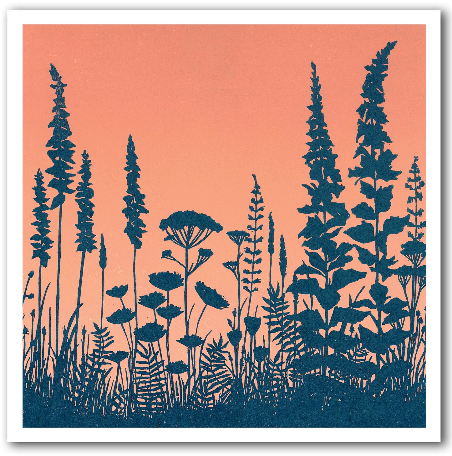 NC473 Wildflowers Blue - Megan Hall