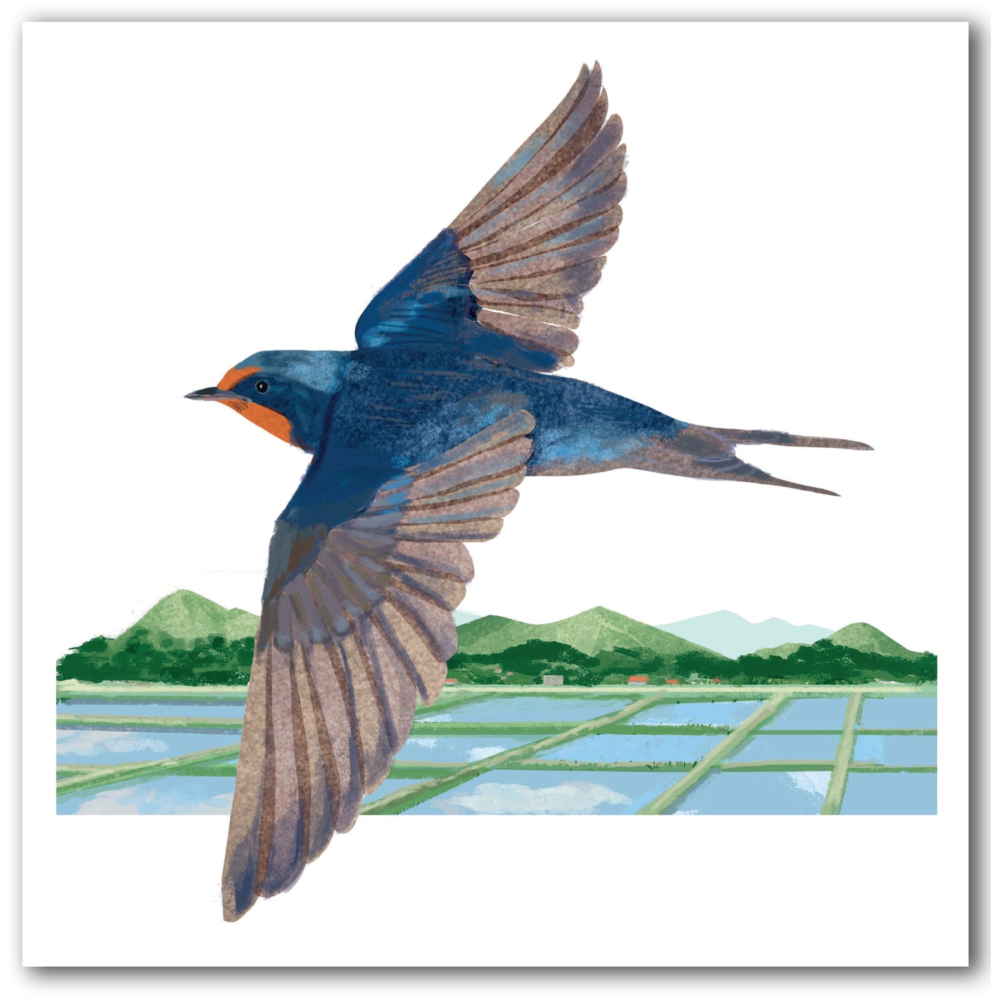 NC476 Flying Swallow - Kyoko Nemoto