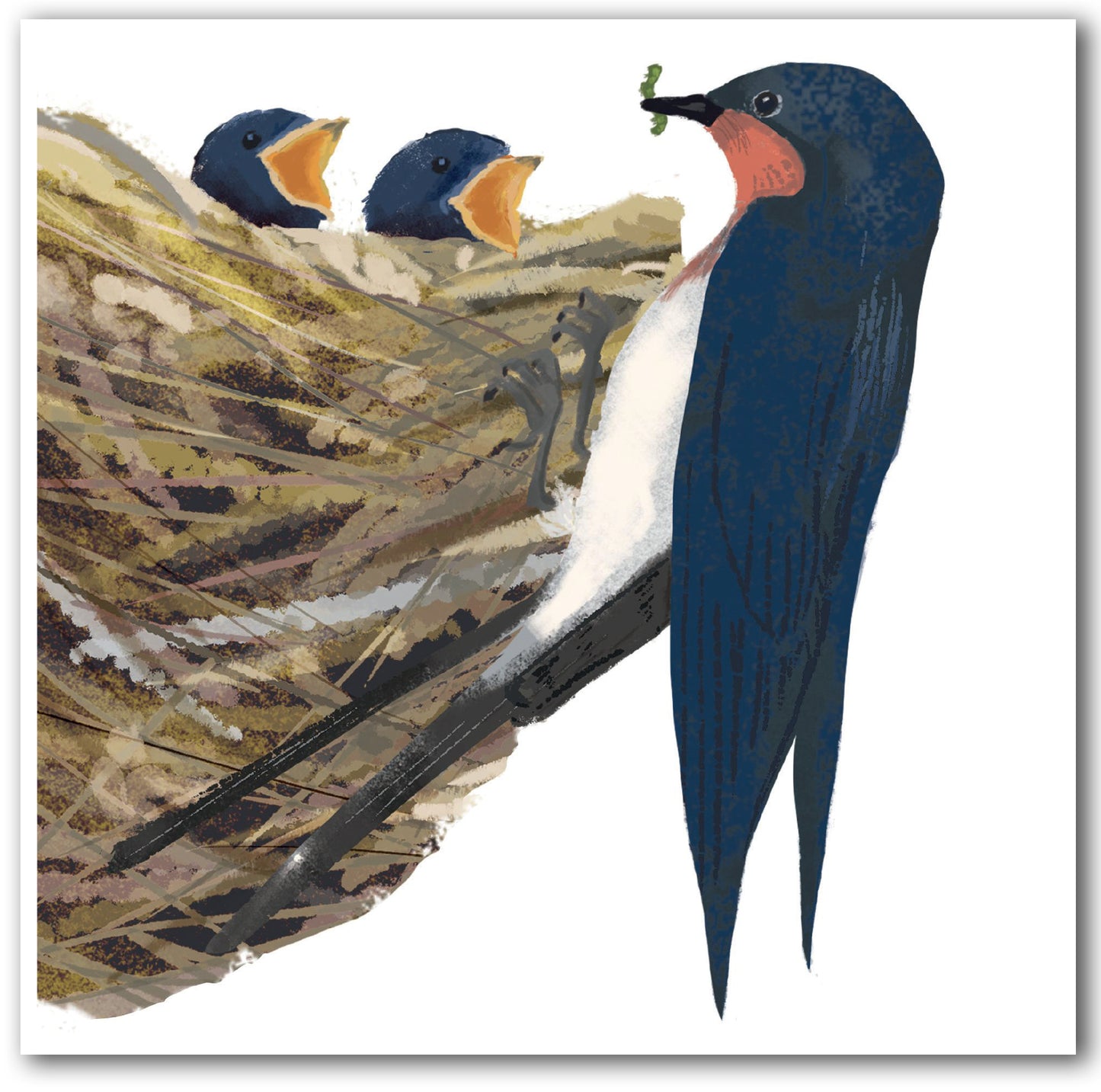 NC477 Swallow Feeding Chicks - Kyoko Nemoto