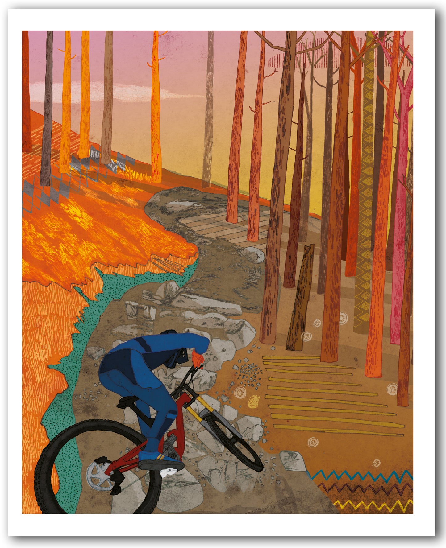 NC482 Cannock Chase - David Broadbent