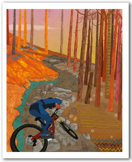 NC482 Cannock Chase - David Broadbent