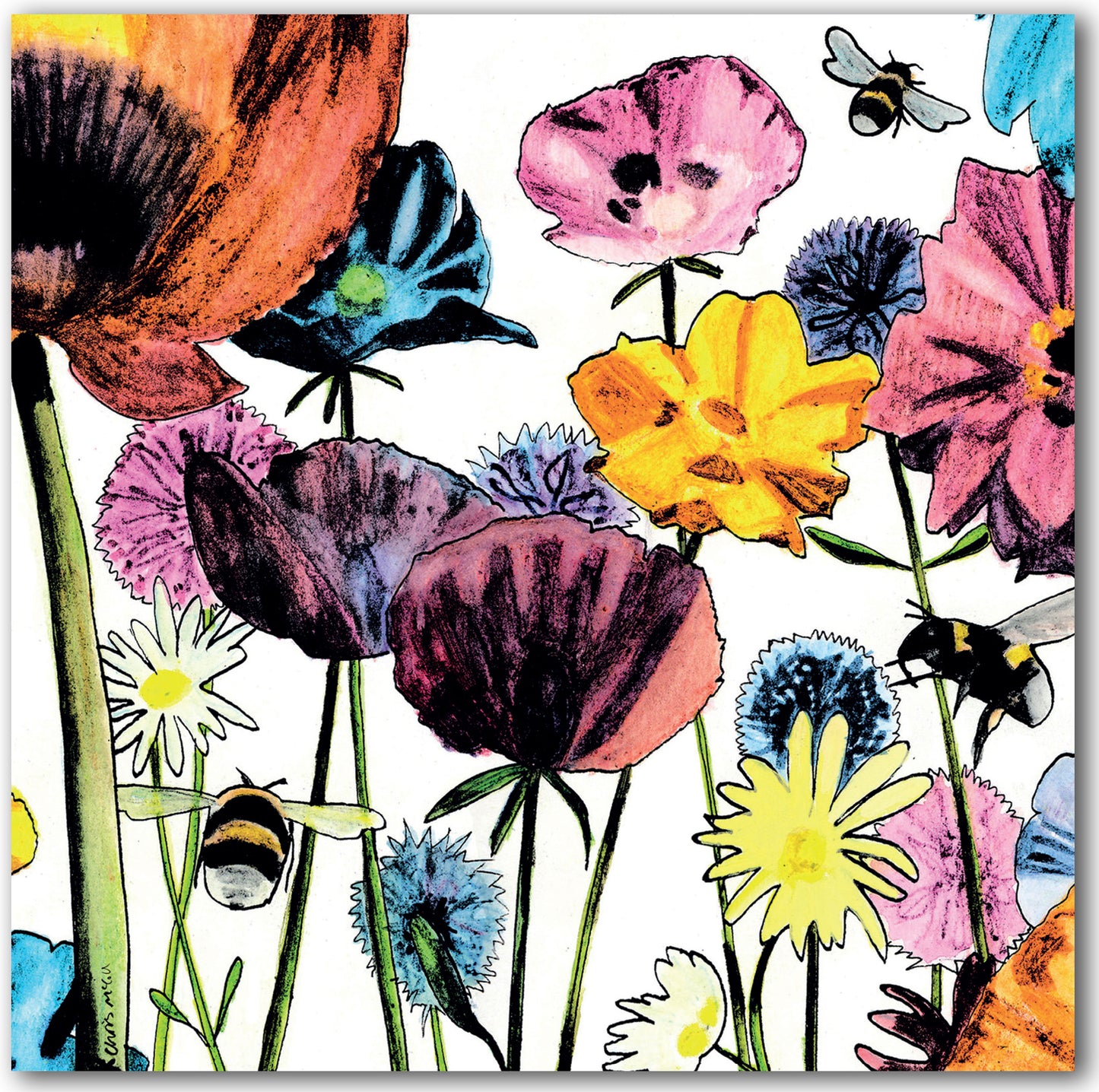 NC492 Flowers & Bees - Chris McColl