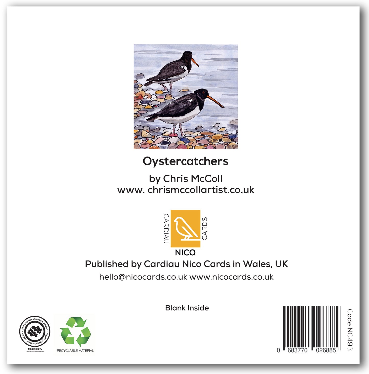 NC493 Oystercatchers - Chris McColl