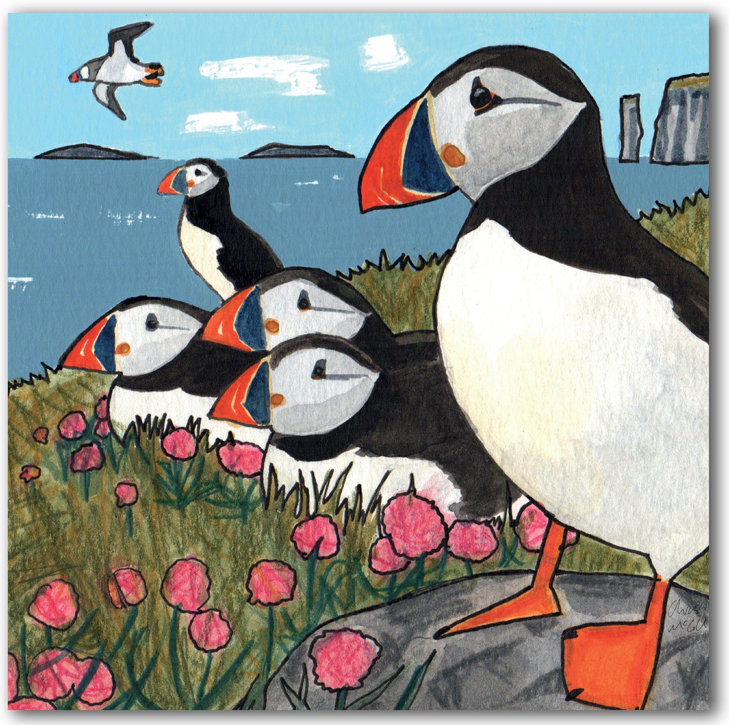 NC494 Puffins - Chris McColl