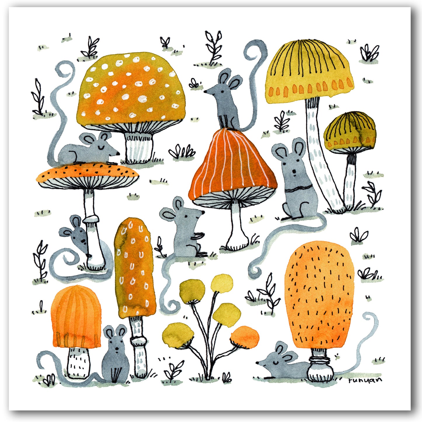 NC537 Mushrooms - Terry Runyan *New Sept 2026*