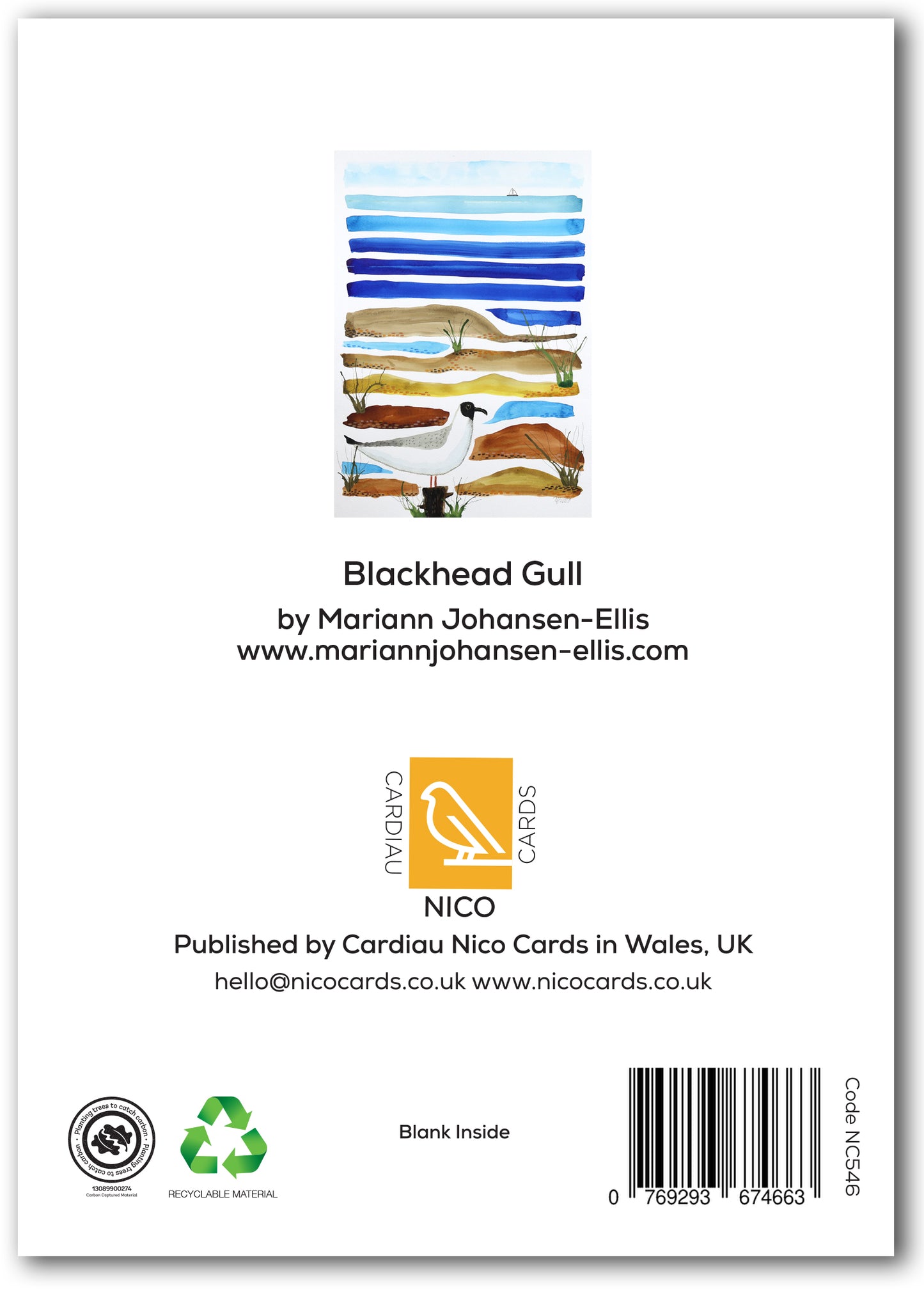 NC546 Blackheaded Gull - Mariann Johansen-Ellis *New Sept 2026*