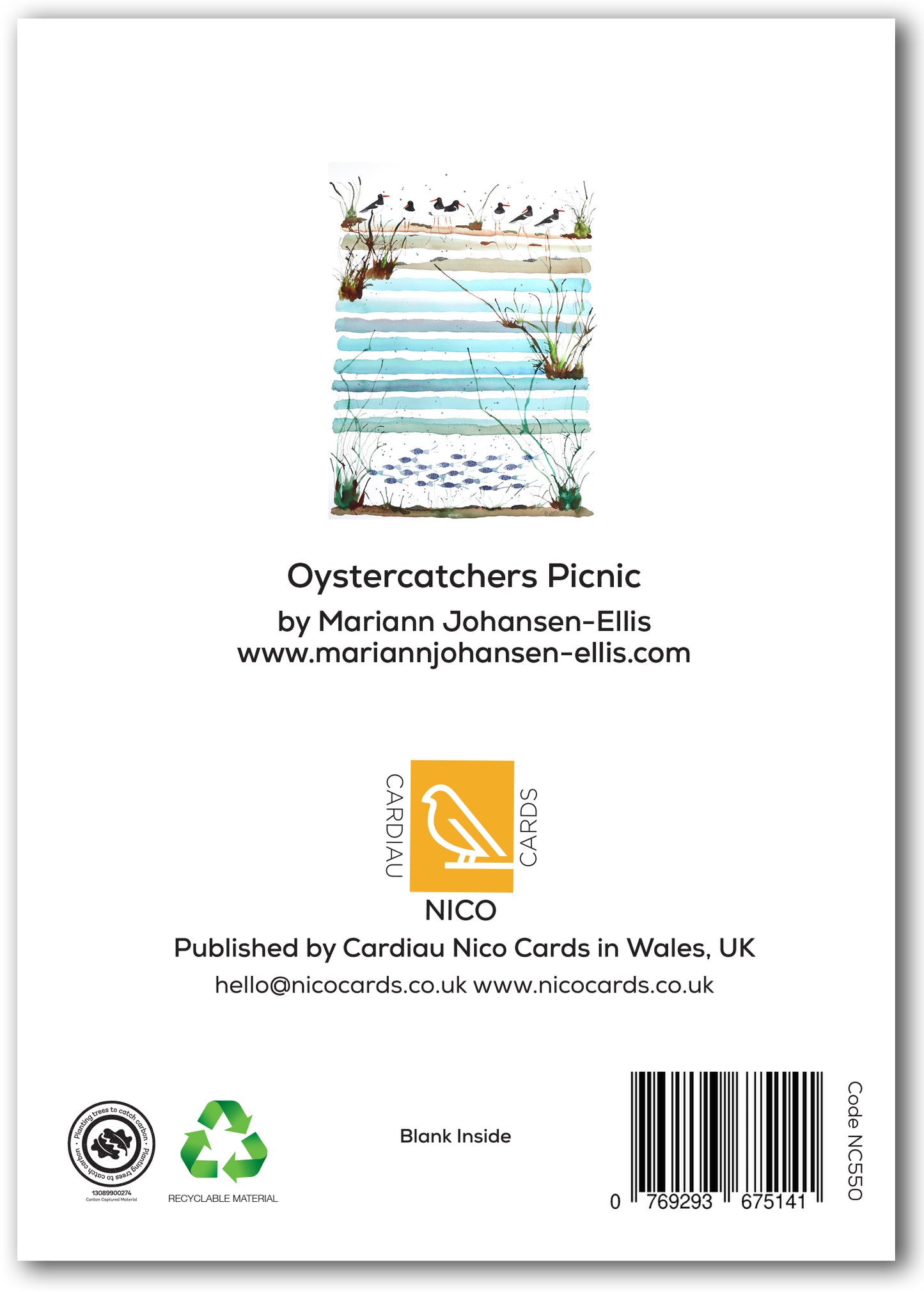 NC550 Oystercatchers Picnic - Mariann Johansen-Ellis *New Sept 2026*