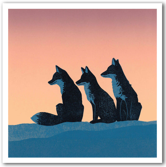 NC560 Three Foxes - Megan Hall *New Sept 2026*