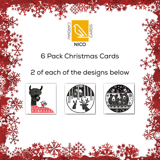 Pack of 6 Cards - PC001