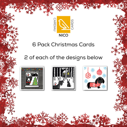 Pack of 6 Cards - PC002