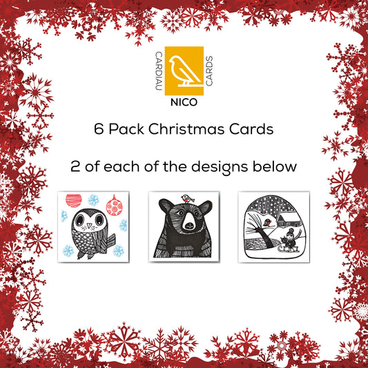 Pack of 6 Cards - PC003